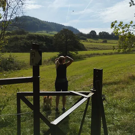 Gemuetliches Mit Kamin - And Nature Σπίτι διακοπών *