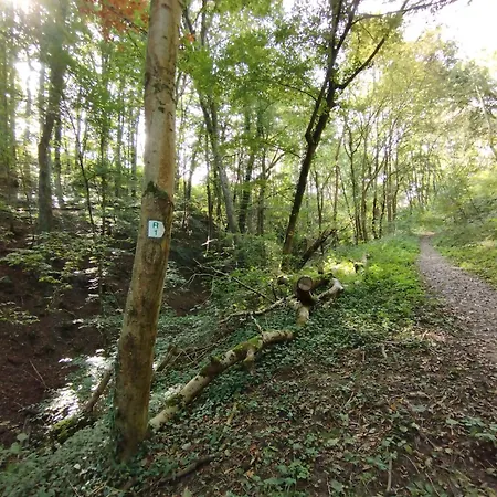 Gemuetliches Mit Kamin - And Nature Σπίτι διακοπών *