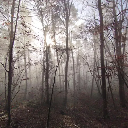 Gemuetliches Mit Kamin - And Nature Σπίτι διακοπών Wallendorf