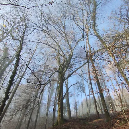 Gemuetliches Mit Kamin - And Nature *