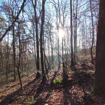 Gemuetliches Mit Kamin - And Nature * Wallendorf