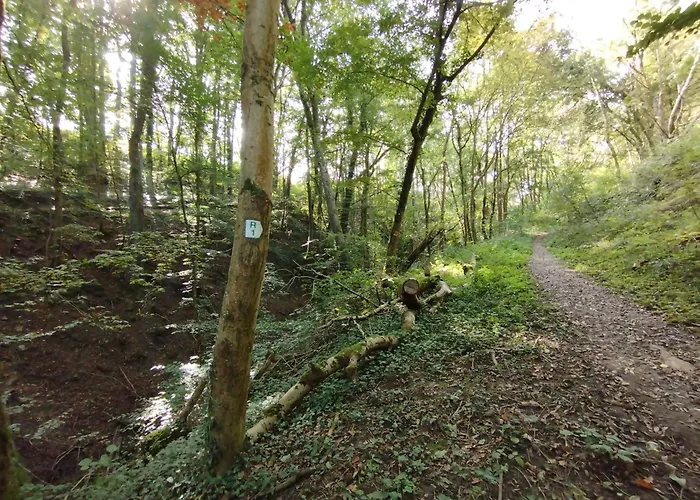 Gemuetliches Mit Kamin - And Nature Casa de Férias *