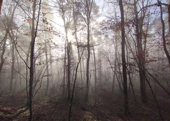 Gemuetliches Mit Kamin - And Nature Feriehus Wallendorf