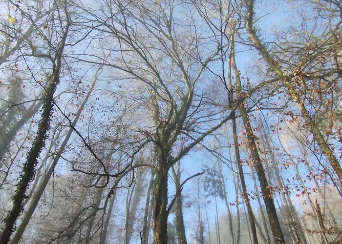 Gemuetliches Mit Kamin - And Nature *