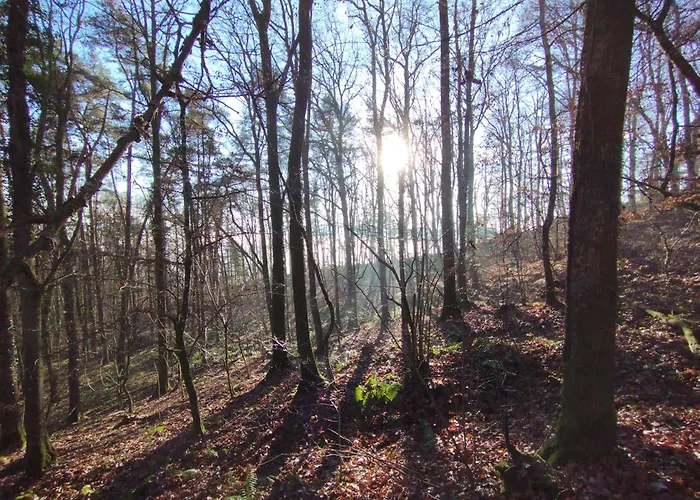 Gemuetliches Mit Kamin - And Nature * Wallendorf